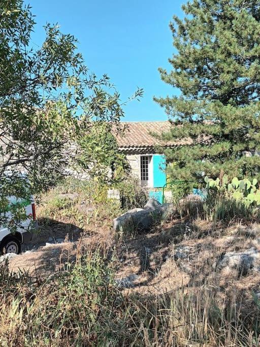 La Maison Bleue Montfort (Alpes-de-Haute-Provence) Exterior foto